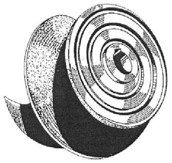 Vista Posterior do Impulsor com suas Ranhuras em Espiral 