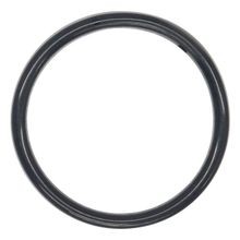 Anel de Vedação o-Ring Wilden PTFE FKM Encapsulado