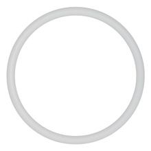 Anel de Vedação o-Ring Wilden PTFE