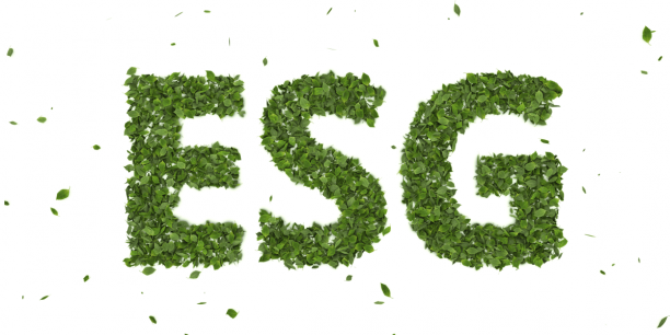 ESG1