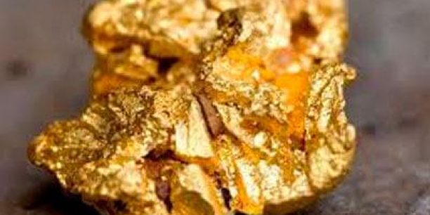 assessoria que vale ouro